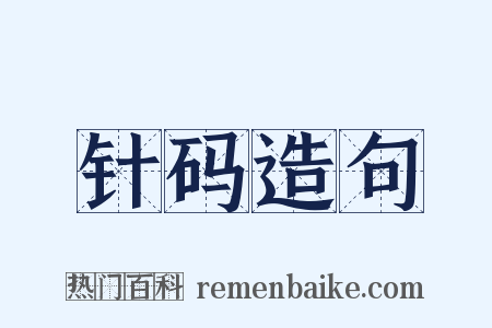 针码造句是什么意思的图片